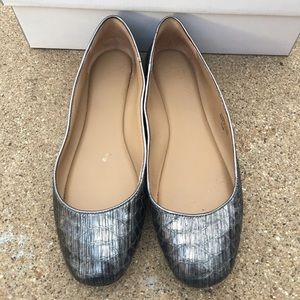 Ann Taylor Leiah Exotic Ballet Flats in Gunmetal